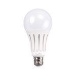 Lampadina Classica LED 175-250V 20W 2000lm 3000K luce calda E27